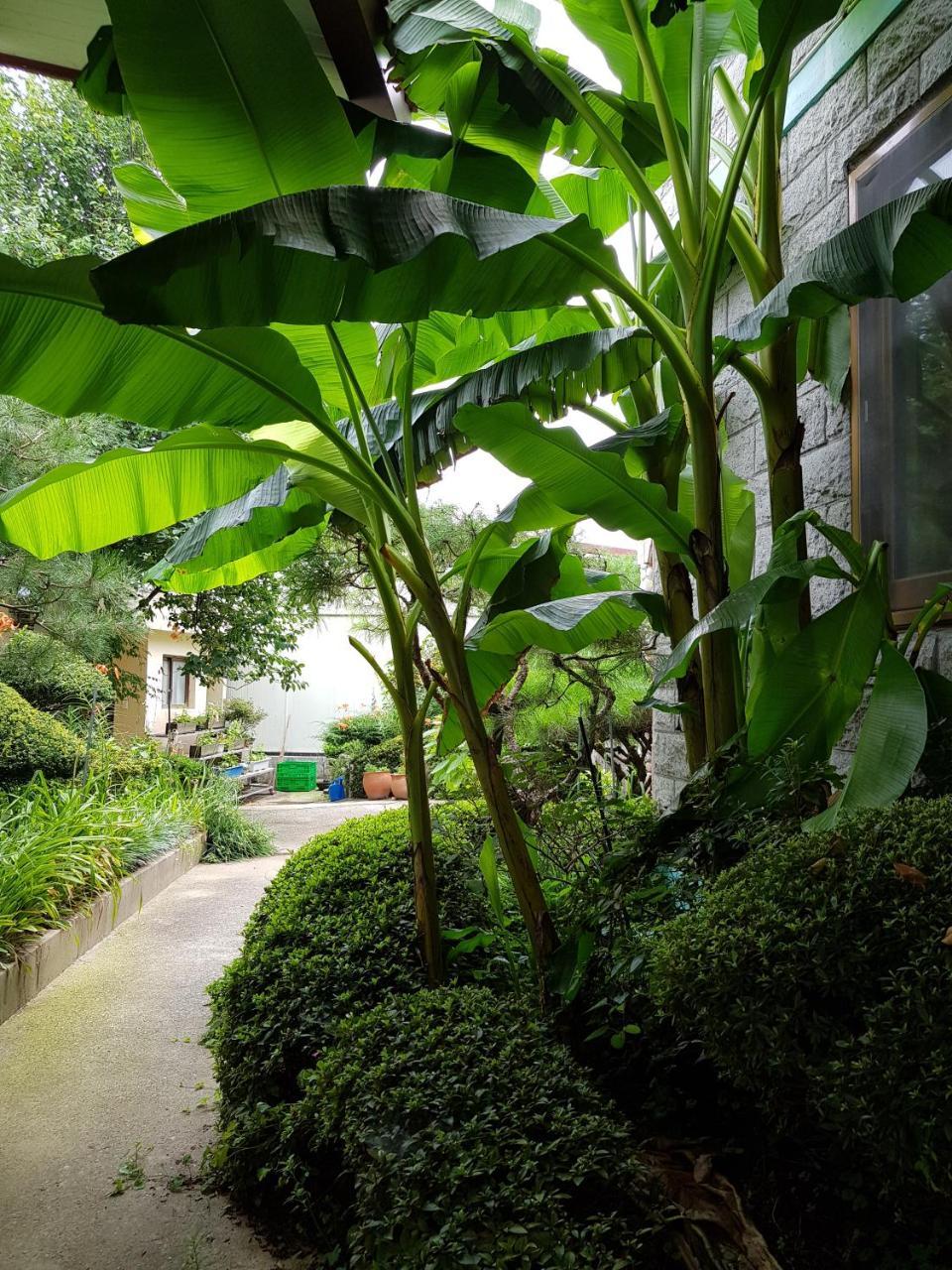 Jnw Minbak Hotel Damyang Luaran gambar